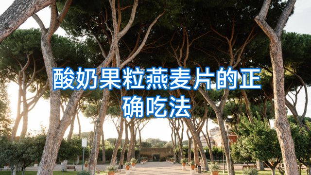 酸奶果粒燕麦片的正确吃法