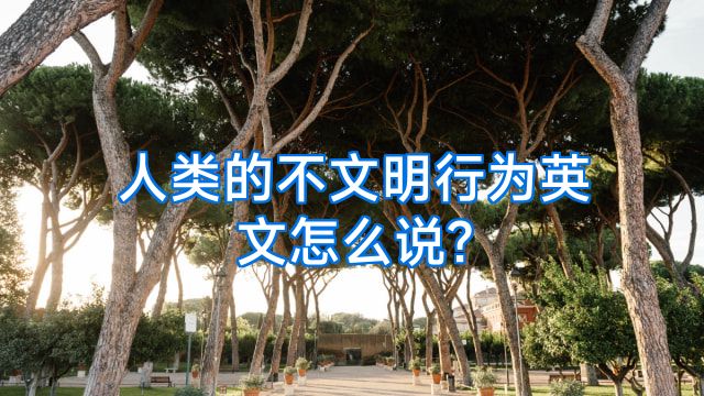 人类的不文明行为英文怎么说?