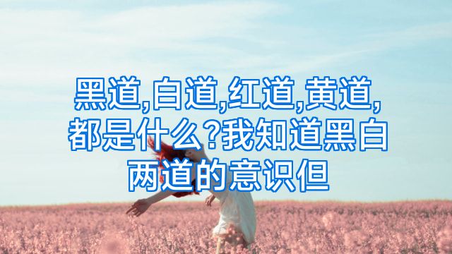黑道,白道,红道,黄道,都是什么?我知道黑白两道的意识但