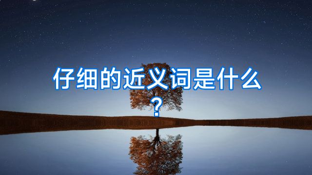 仔细的近义词是什么?