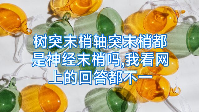 树突末梢轴突末梢都是神经末梢吗,我看网上的回答都不一