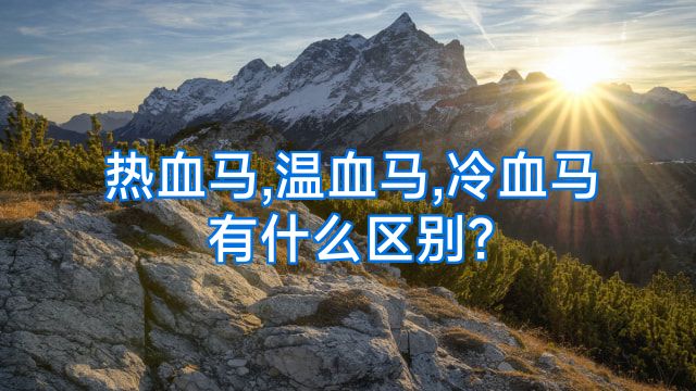 热血马,温血马,冷血马有什么区别?