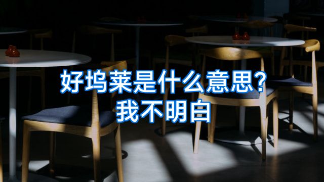 好坞莱是什么意思?我不明白