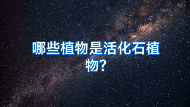哪些植物是活化石植物?