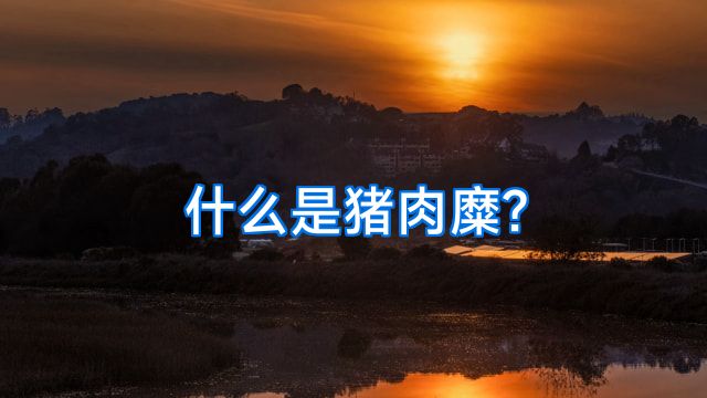 什么是猪肉糜?