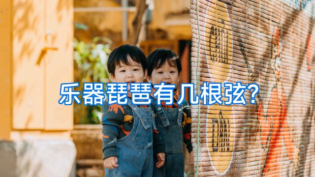 乐器琵琶有几根弦?