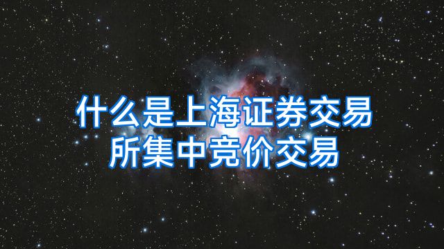 什么是上海证券交易所集中竞价交易