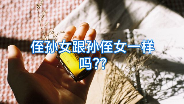 侄孙女跟孙侄女一样吗??