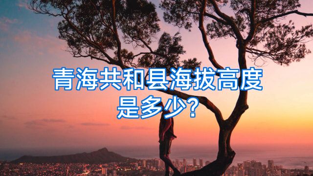 青海共和县海拔高度是多少?