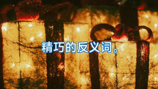 精巧的反义词。
