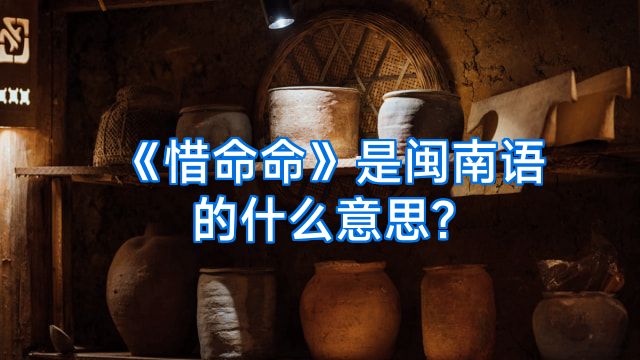 《惜命命》是闽南语的什么意思?