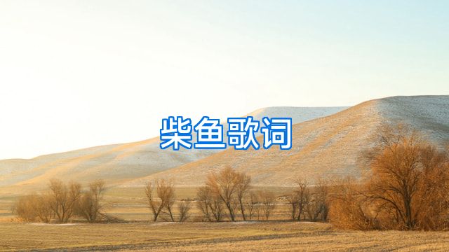 柴鱼歌词