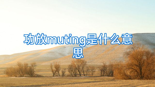 功放muting是什么意思