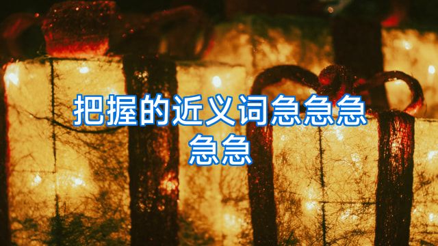 把握的近义词急急急急急
