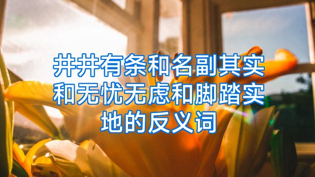 井井有条和名副其实和无忧无虑和脚踏实地的反义词