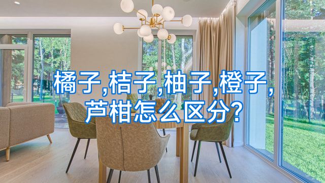 橘子,桔子,柚子,橙子,芦柑怎么区分?