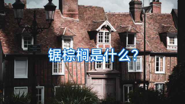 锯棕榈是什么?