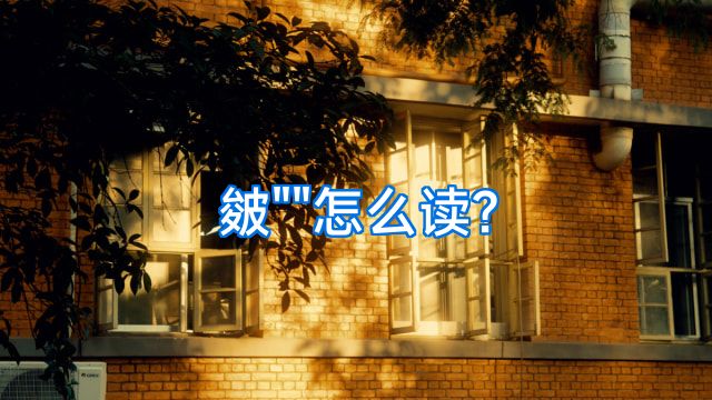 皴