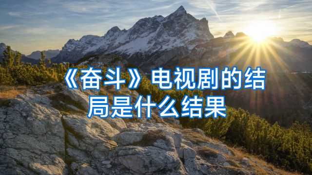 《奋斗》电视剧的结局是什么结果