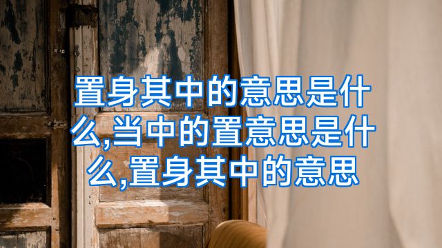 置身其中的意思是什么,当中的置意思是什么,置身其中的意思