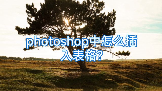 photoshop中怎么插入表格?