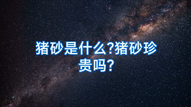 猪砂是什么?猪砂珍贵吗?