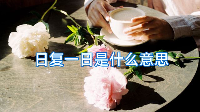 日复一日是什么意思