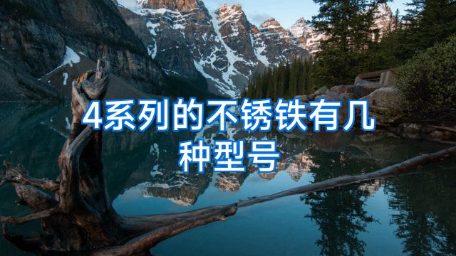4系列的不锈铁有几种型号