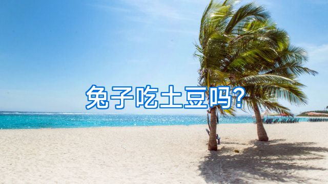 兔子吃土豆吗?