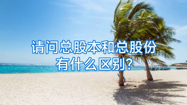 请问总股本和总股份有什么区别?