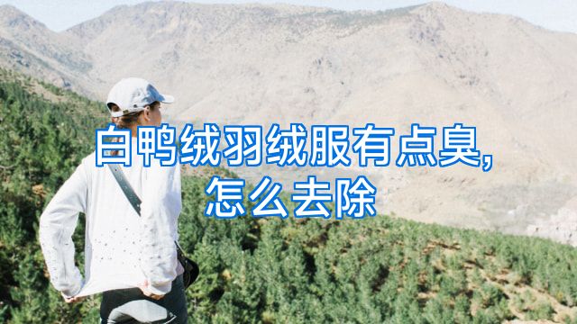 白鸭绒羽绒服有点臭,怎么去除