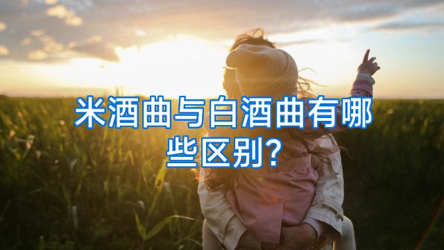 米酒曲与白酒曲有哪些区别?