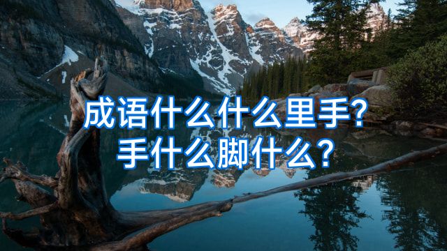 成语什么什么里手?手什么脚什么?