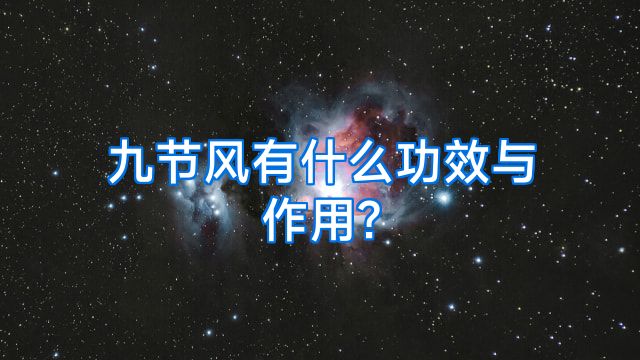九节风有什么功效与作用?