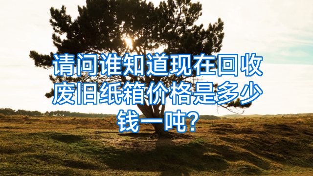 请问谁知道现在回收废旧纸箱价格是多少钱一吨?