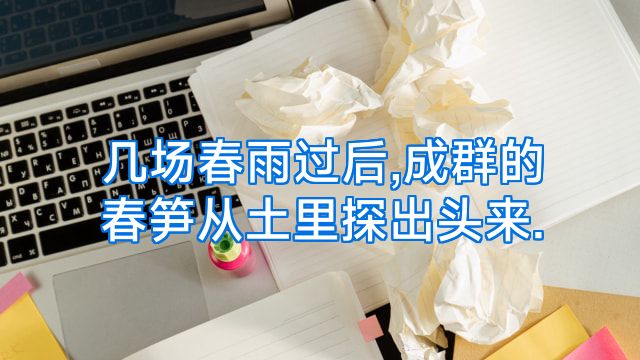 几场春雨过后,成群的春笋从土里探出头来.