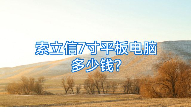 索立信7寸平板电脑多少钱?