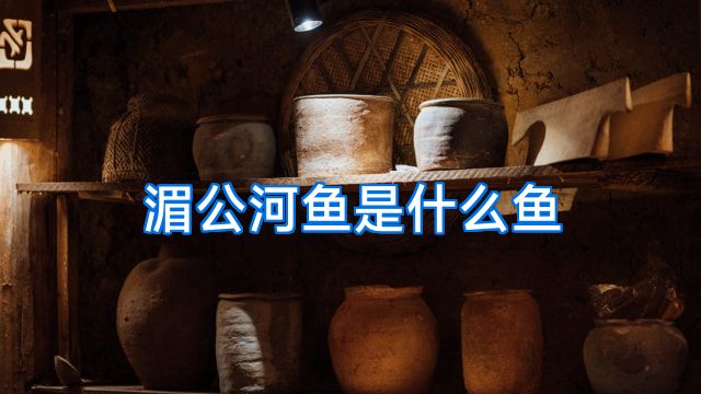 湄公河鱼是什么鱼