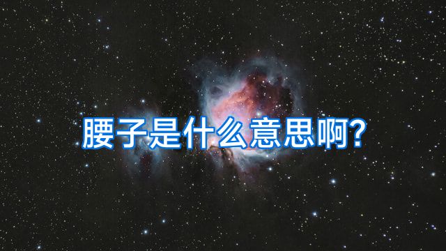 腰子是什么意思啊?