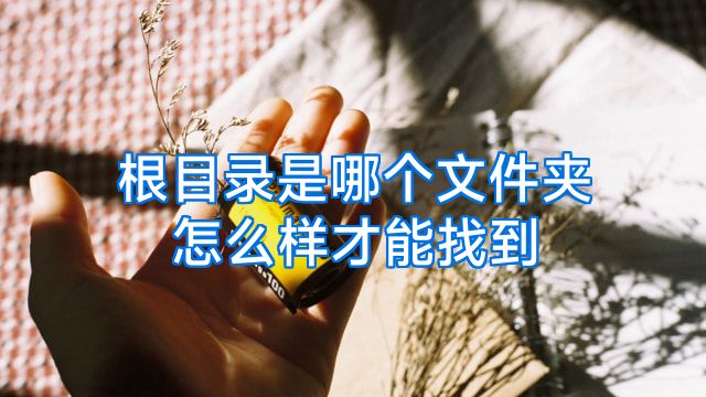 根目录是哪个文件夹怎么样才能找到