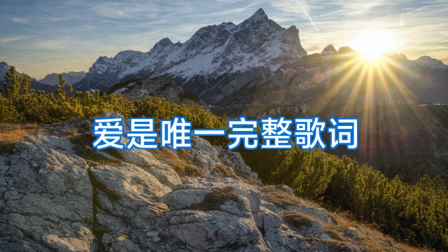 爱是唯一完整歌词
