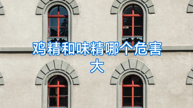 鸡精和味精哪个危害大