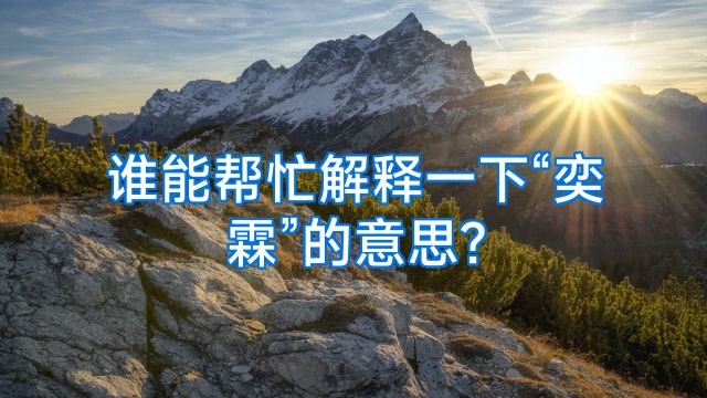 谁能帮忙解释一下“奕霖”的意思?