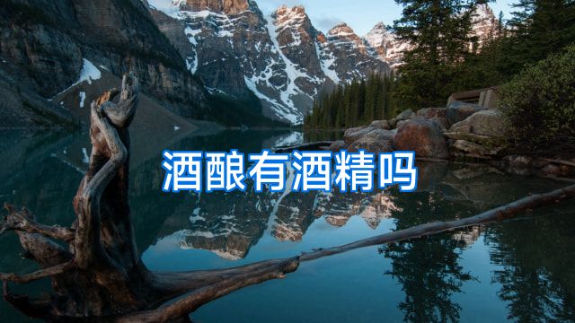 酒酿有酒精吗