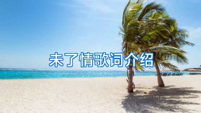 未了情歌词介绍