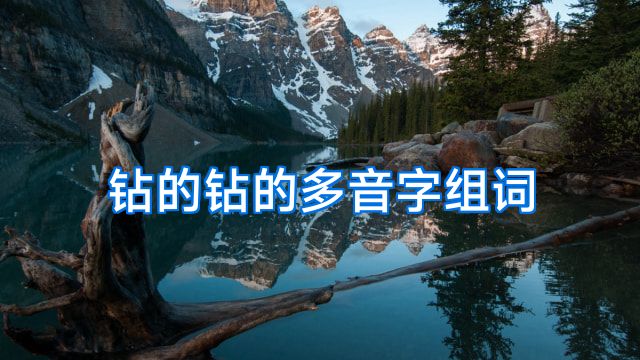 钻的钻的多音字组词