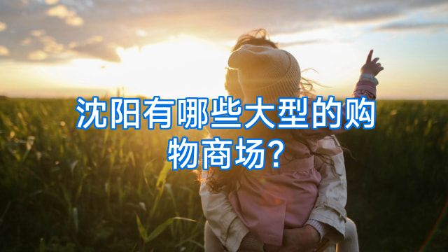 沈阳有哪些大型的购物商场?