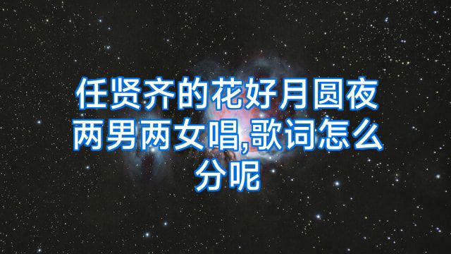 任贤齐的花好月圆夜两男两女唱,歌词怎么分呢