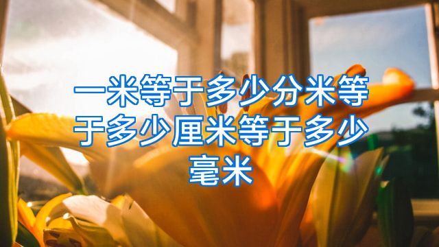 一米等于多少分米等于多少厘米等于多少毫米