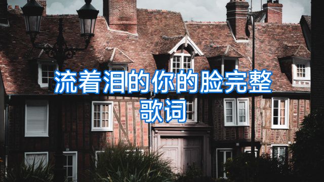 流着泪的你的脸完整歌词